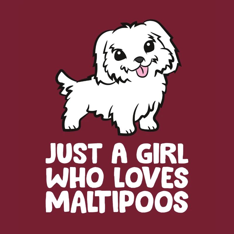 Nur ein Mädchen, das Maltipoos liebt