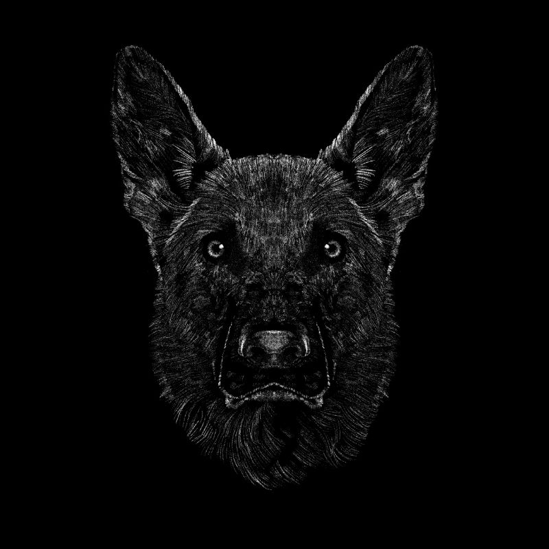 Deutscher Schäferhund