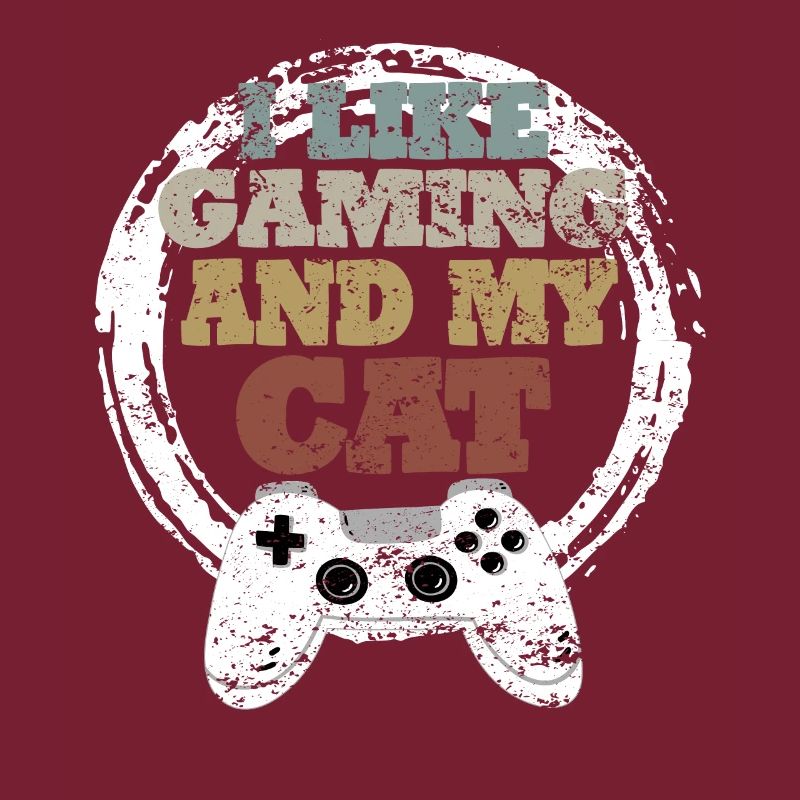 Idée cadeau de chat de jeu