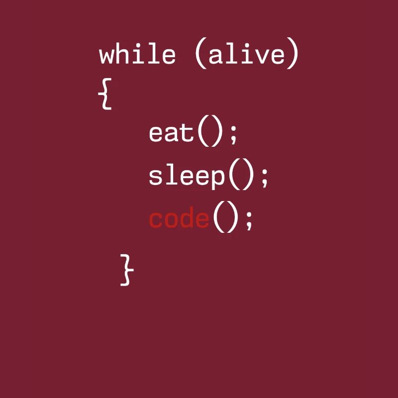 Administrator Coding Geek Programmer