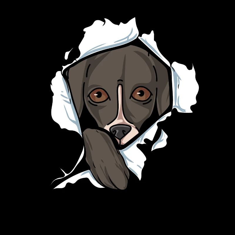 Whippet