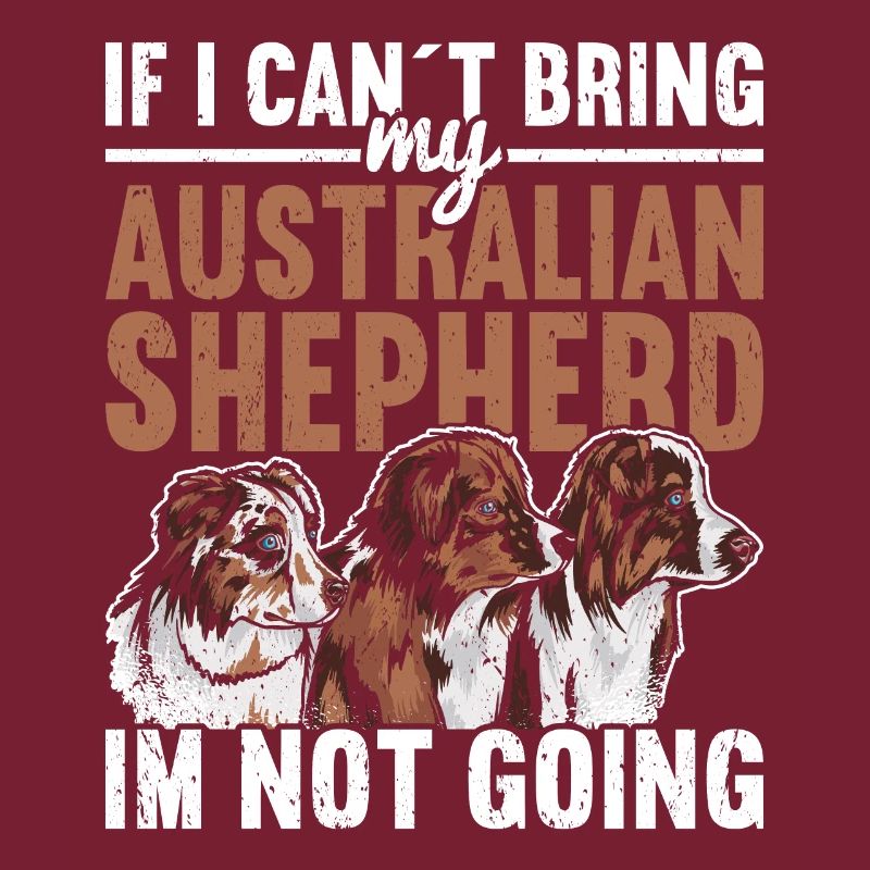 Australischer Schäferhund