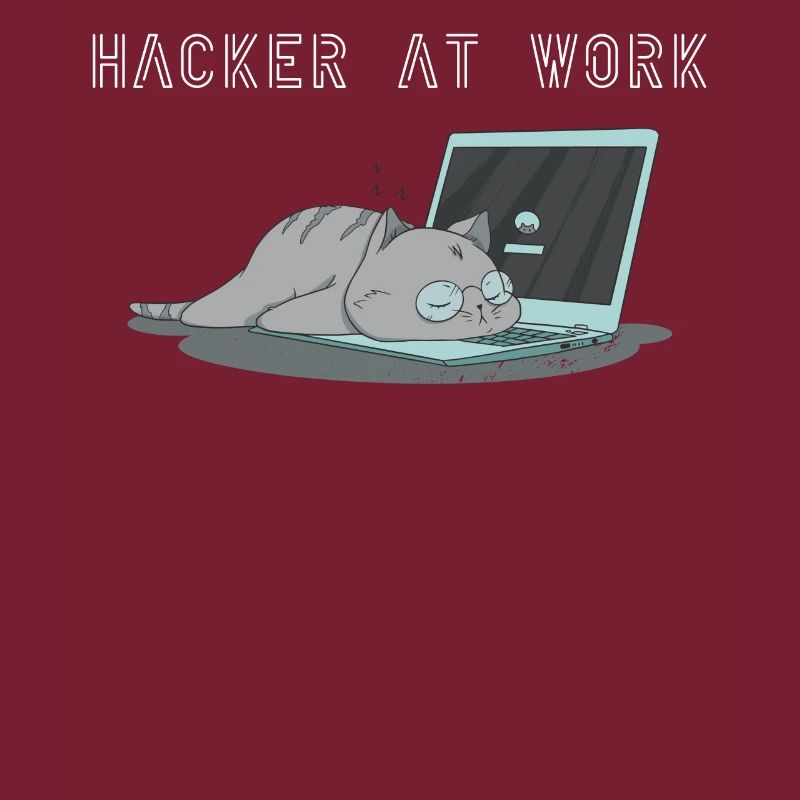 Hacker at work