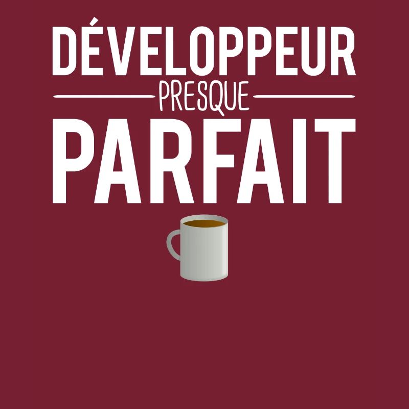 Développeur presque parfait programmeur codeur