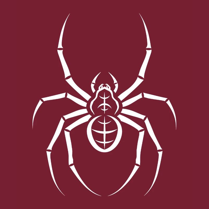 Spinne