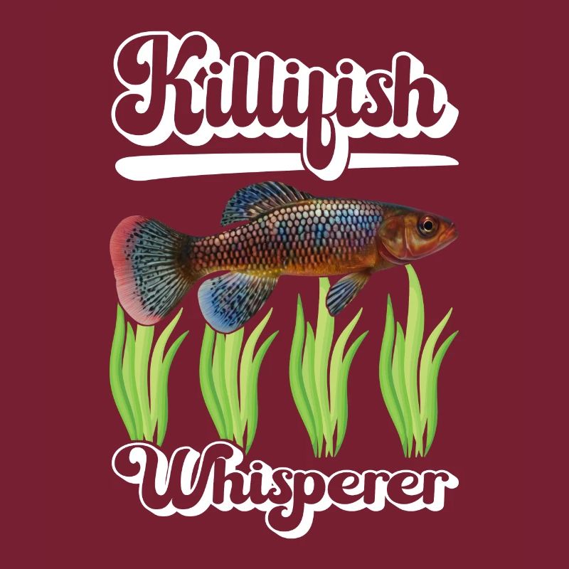 Killifish Quarium Fish