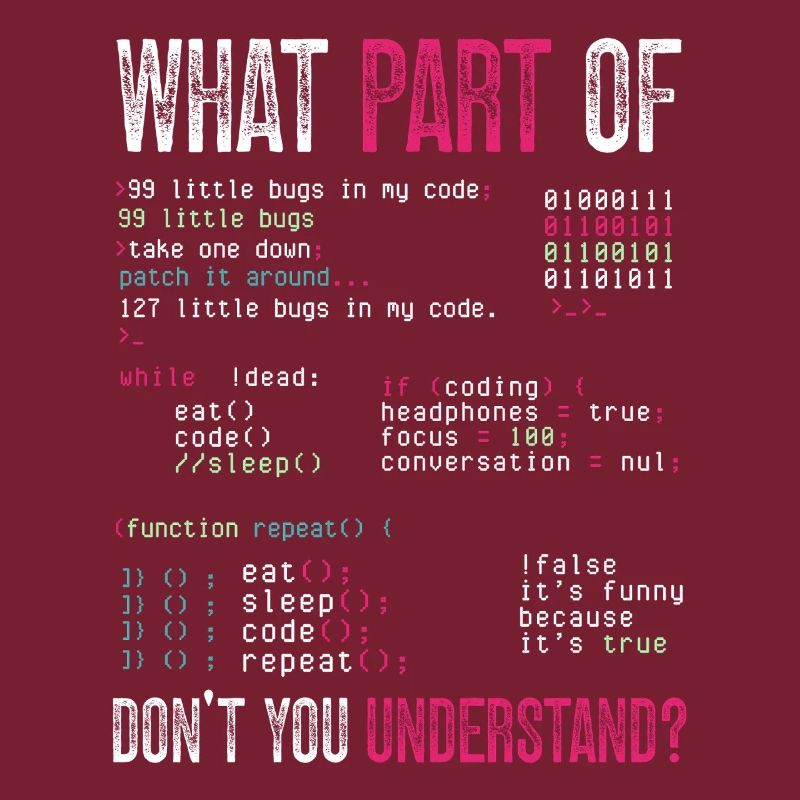 Programmeur, Codage informatique, Développeur de logiciels