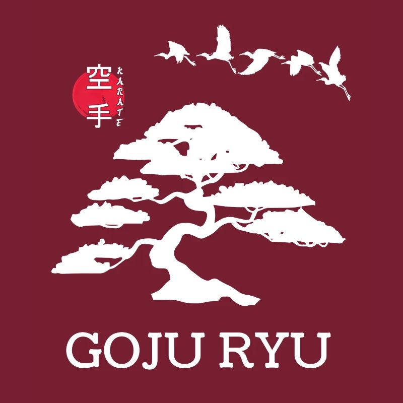 Goju Ryu Karate Best Kampfkunst Seit 1930