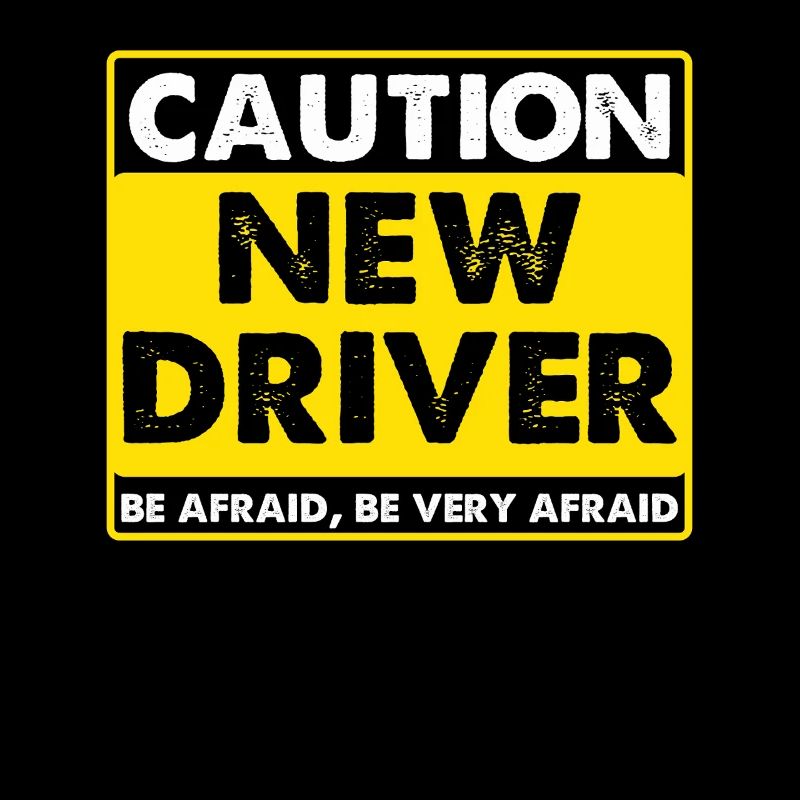 Driving School Driving Instructor