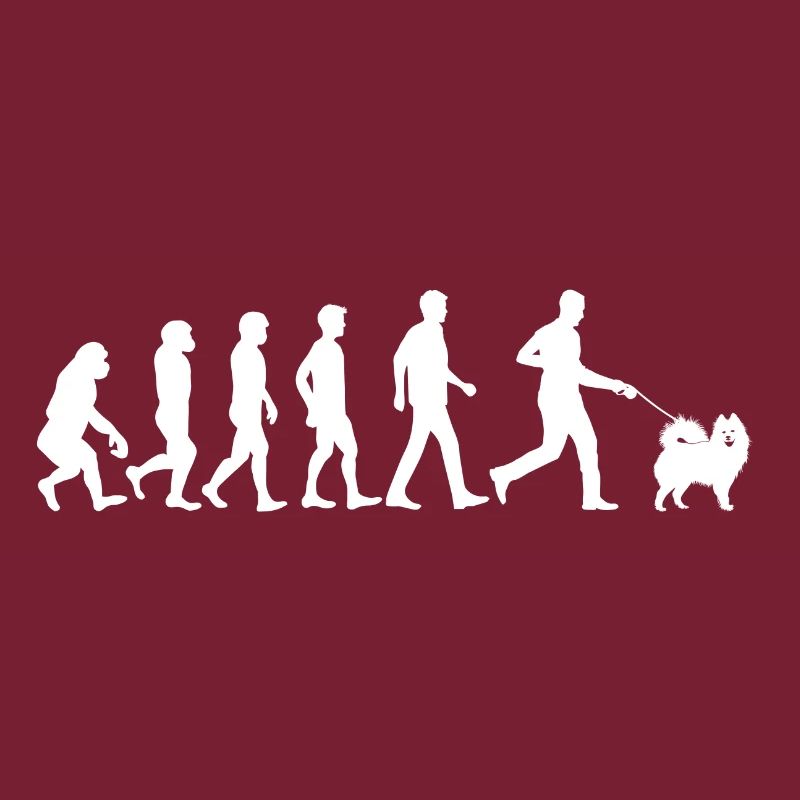 Évolution chien samoyède propriétaire de chien