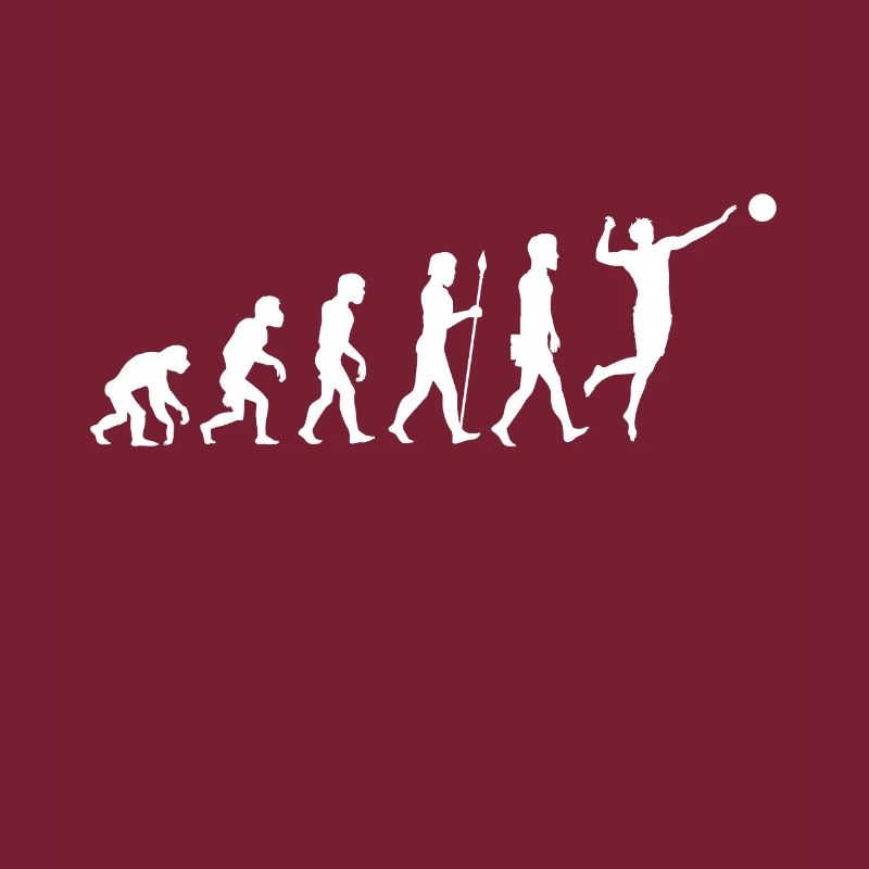 Volley-ball Evolution Beach-Volley