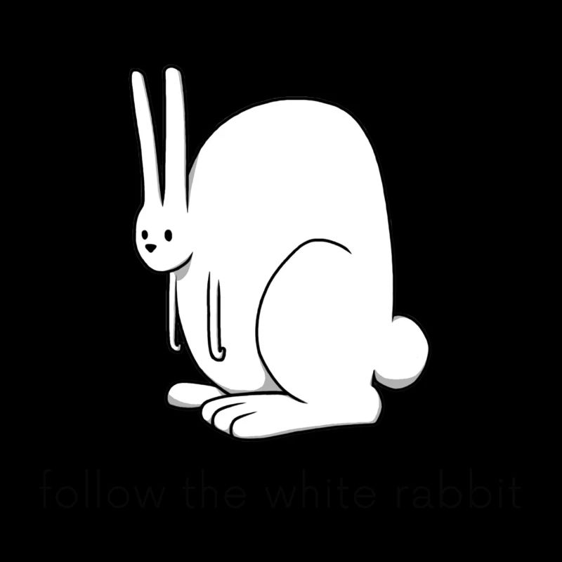 suis le lapin blanc