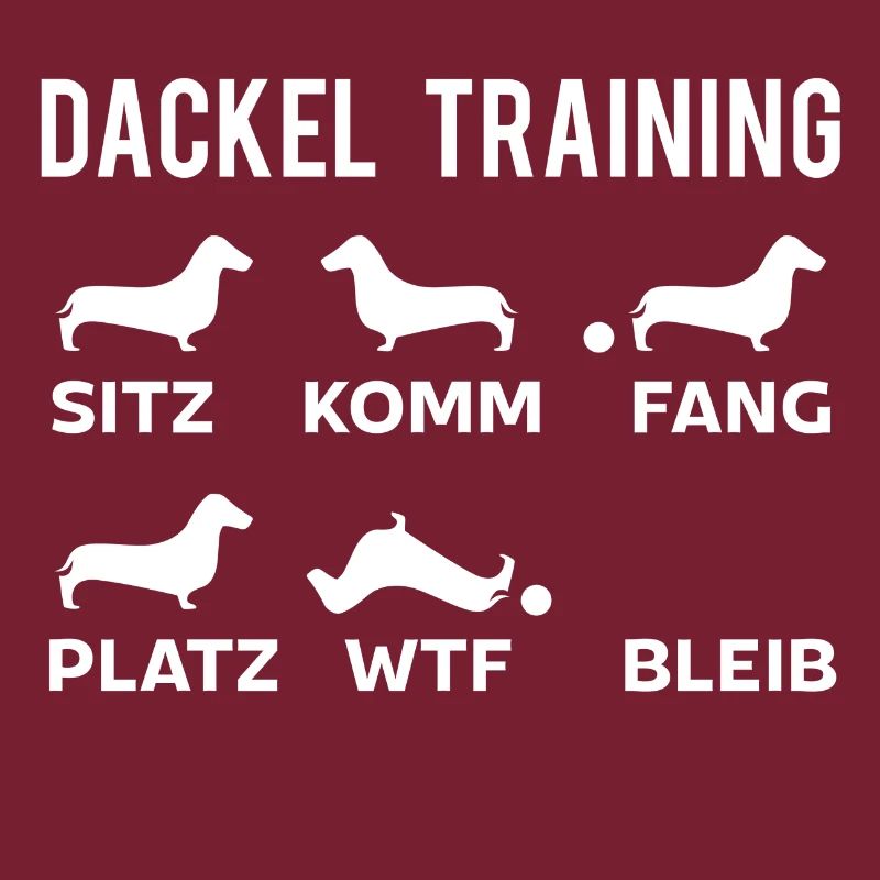 Dackel Training
