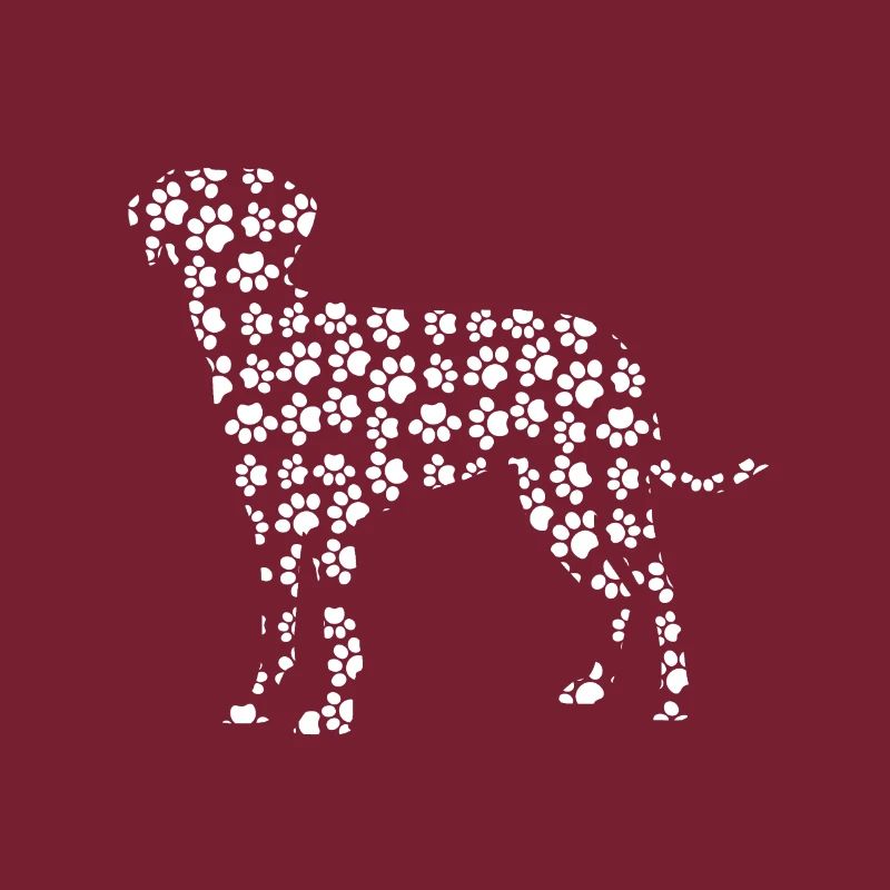 Labrador dog