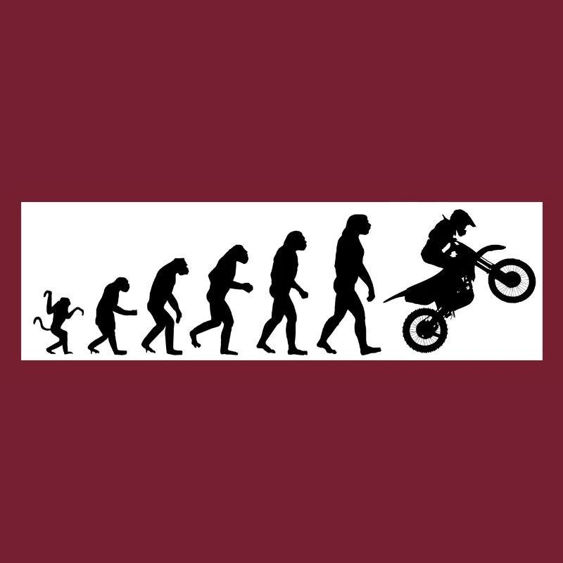 Evolution moto
