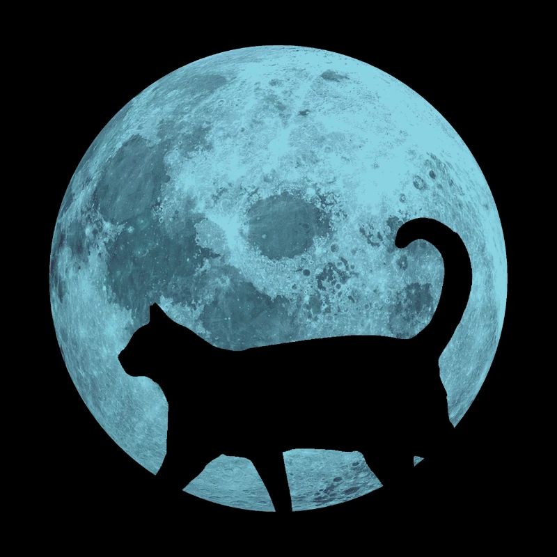 Chat pleine lune