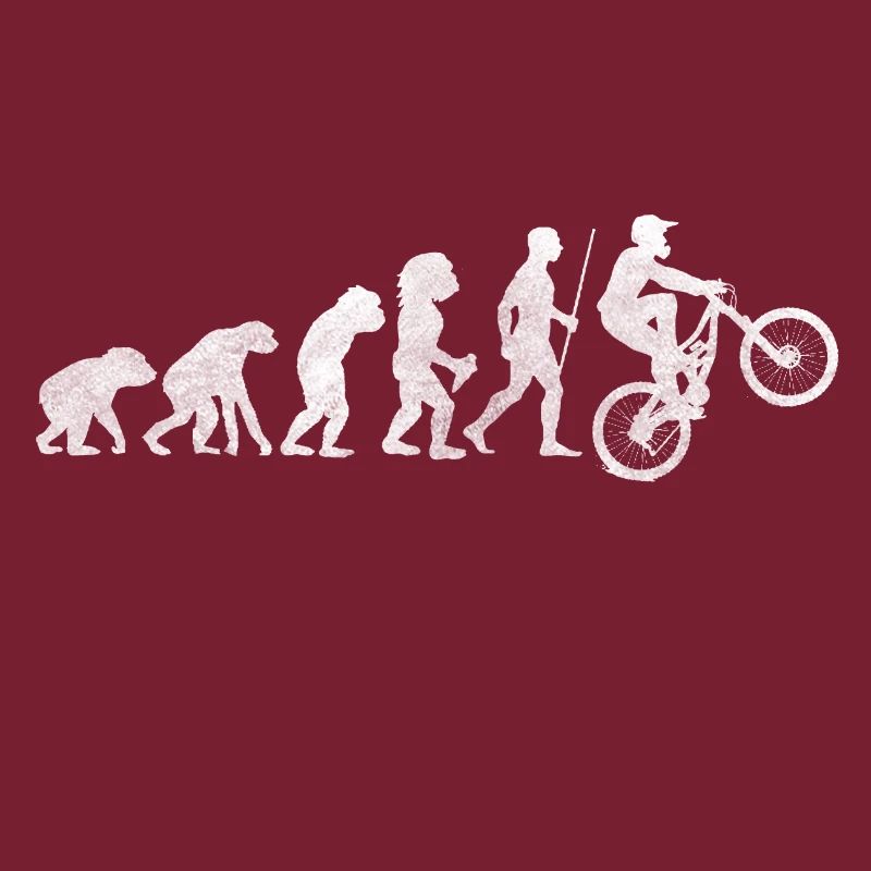 Fahrrad Evolution Entwicklung Steinzeit Freizeit
