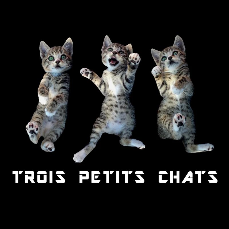 3 petits chats