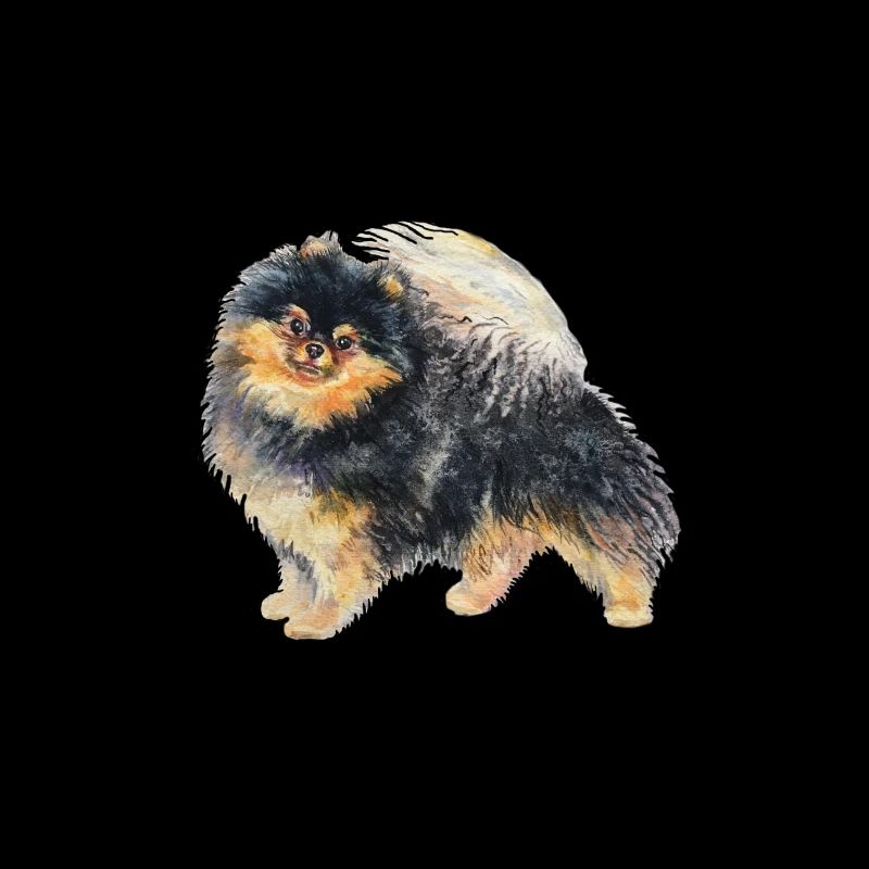 Pomeranian