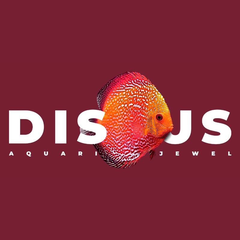 Discus Cichlidé Poissonnier