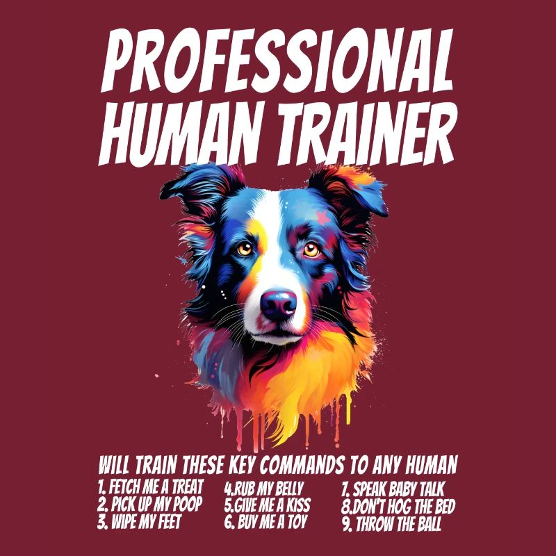 Professional Human Trainer Border Collie Dog