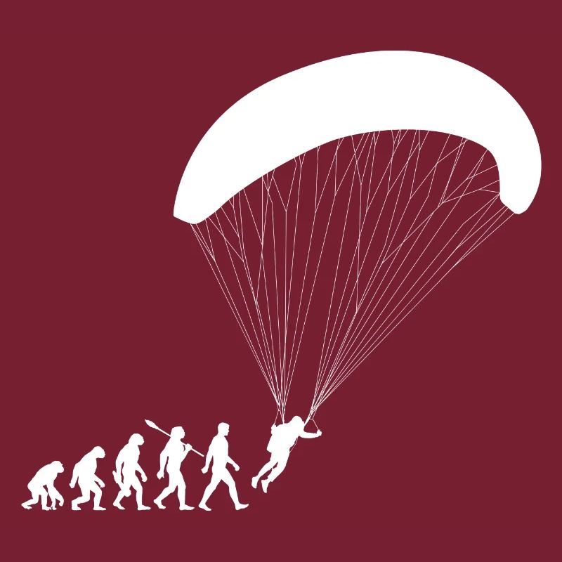 Evolution Parapente Vol
