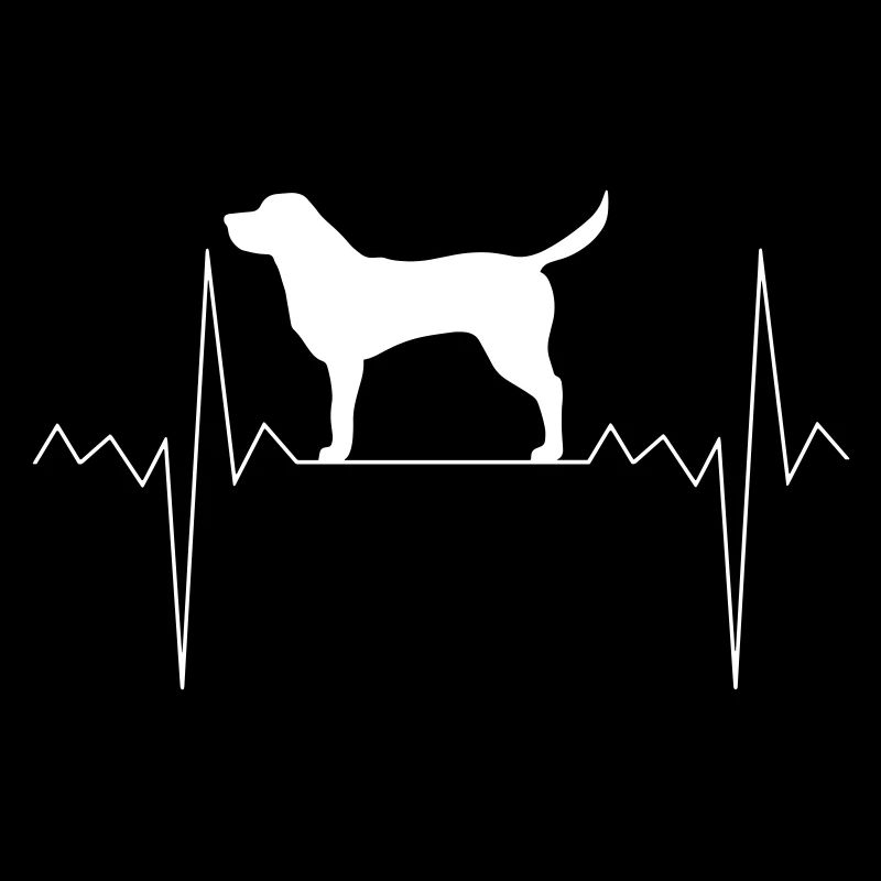 Herzschlag Herzfrequenz Labrador Retriever Hund