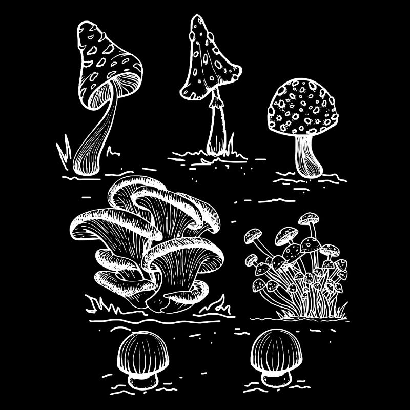 Krystaller, Svampe Sort Magic & Hekse