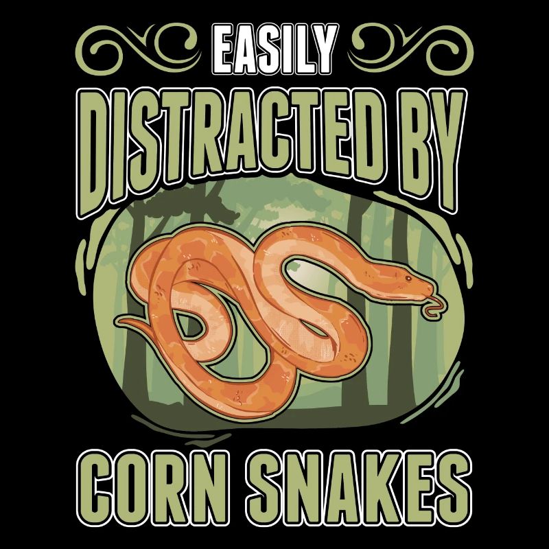 Easily distracted by Corn Snakes Corn Snake