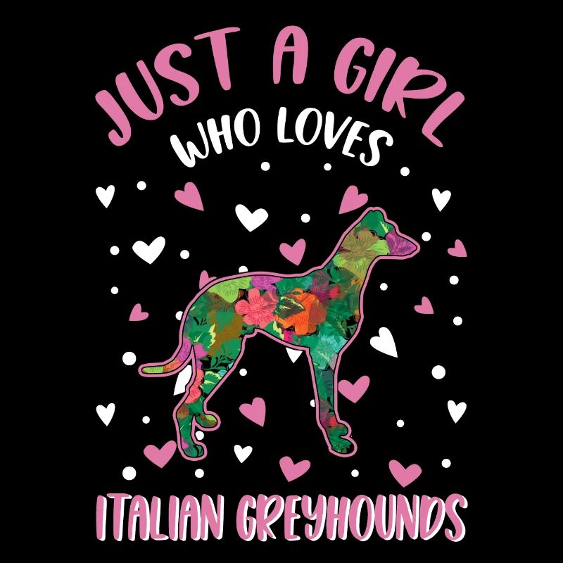 Italienischer Windhund Mädchen
