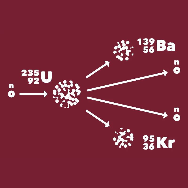 Kernspaltung Nuklearphysiker