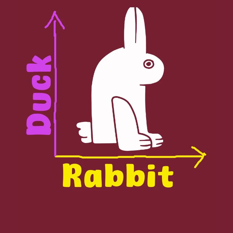 Wittgensteins Rabbit Duck Illusion