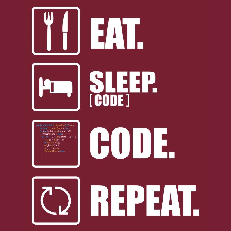Informaticien drôle programmeur coder