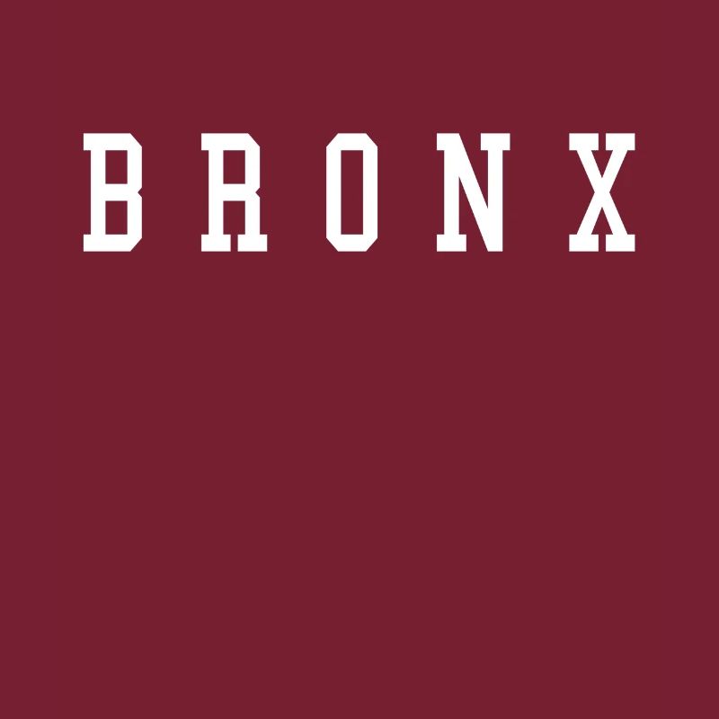CAMISA DEL BRONX