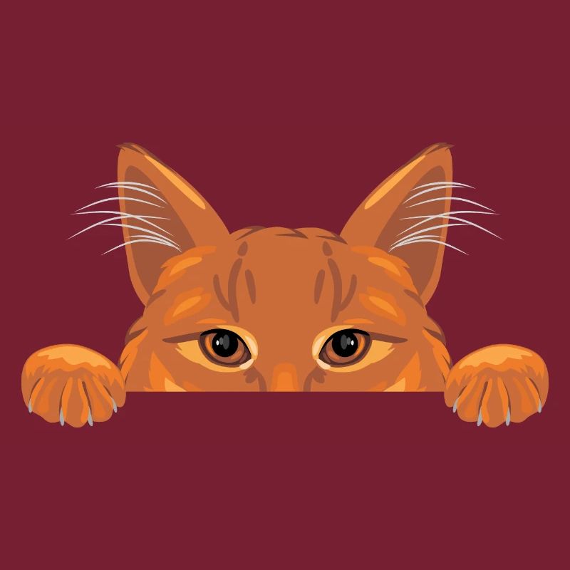 Chat au gingembre
