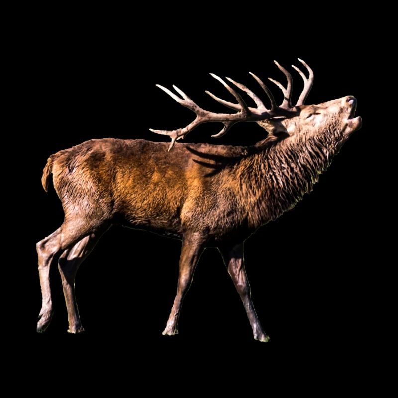 Geschenkidee röhrender Hirsch