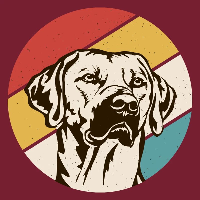 Rhodesian Ridgeback Hund