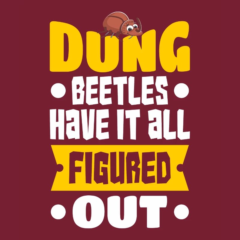 Insectes