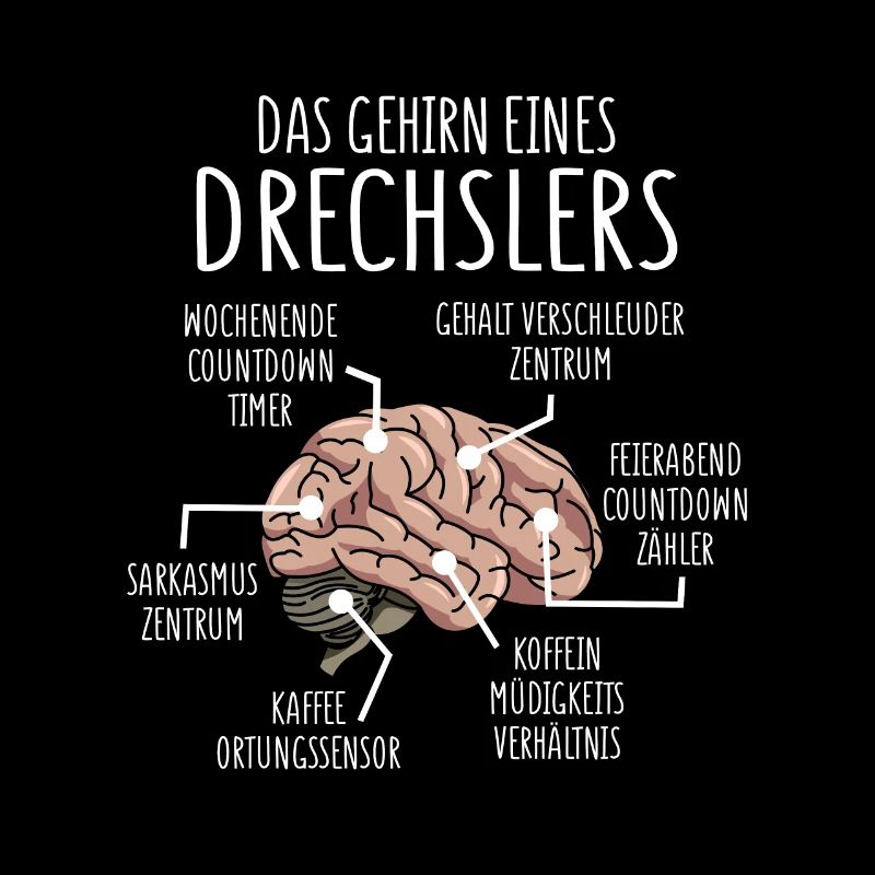 Drechsler Anatomie