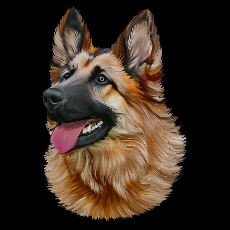 Deutscher Schäferhund - German Shepherd
