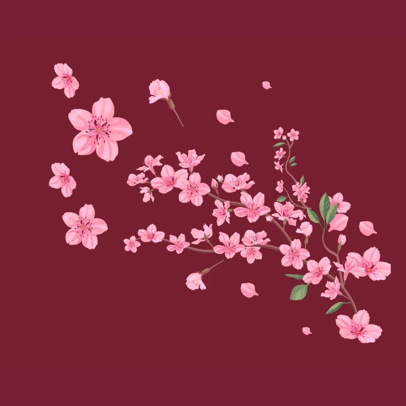 Sakura, fleur de cerisier, fleurs, fleur de cerisier