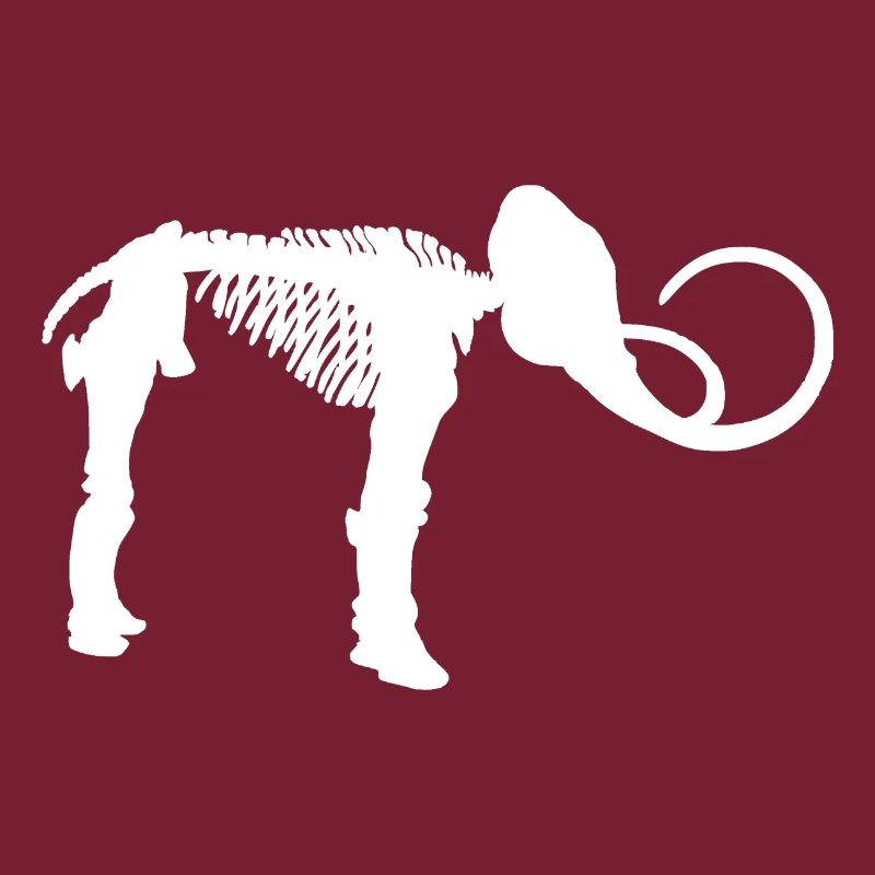 Mammut Eiszeit Skelett