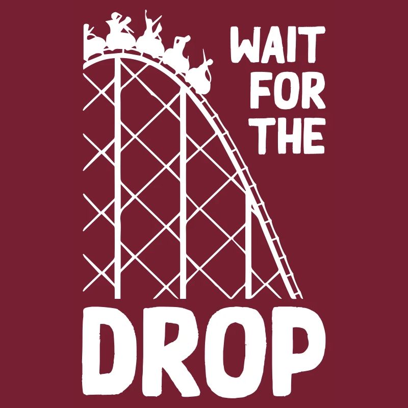 Wait For The Drop Roller Coaster