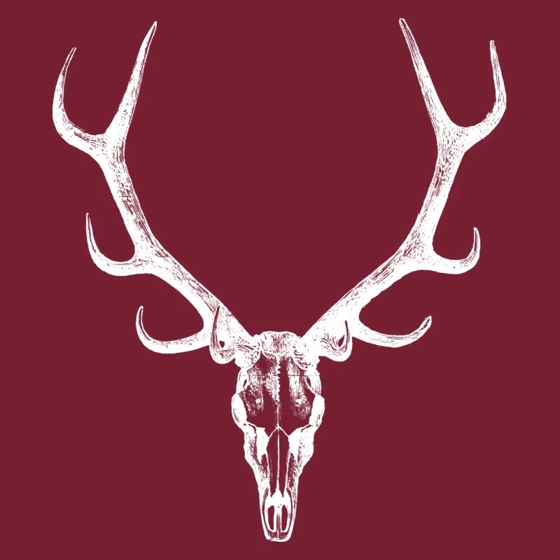 Bois de cerf