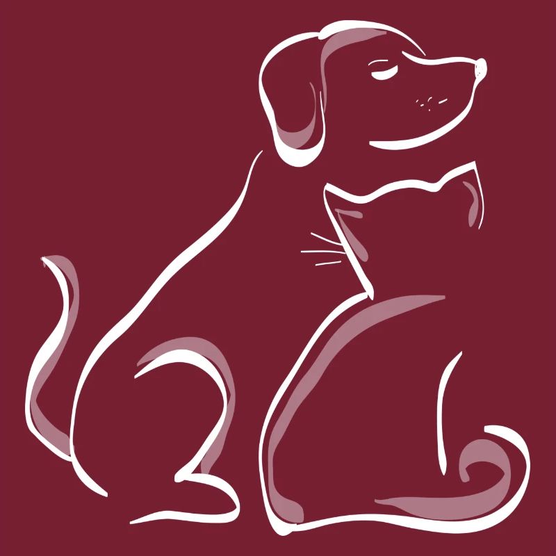 Amici di gatto cane