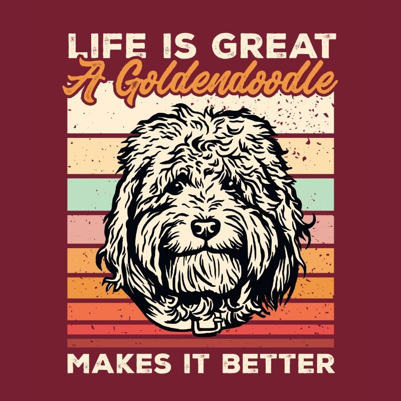 Goldendoodle Doodle Chien
