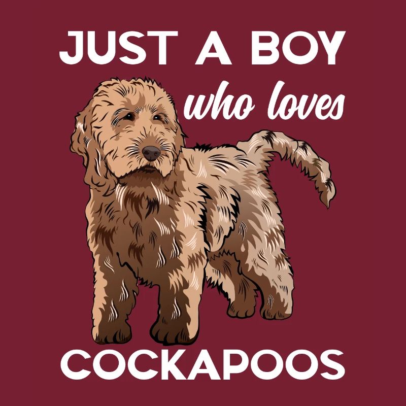 Cockapoo Chien