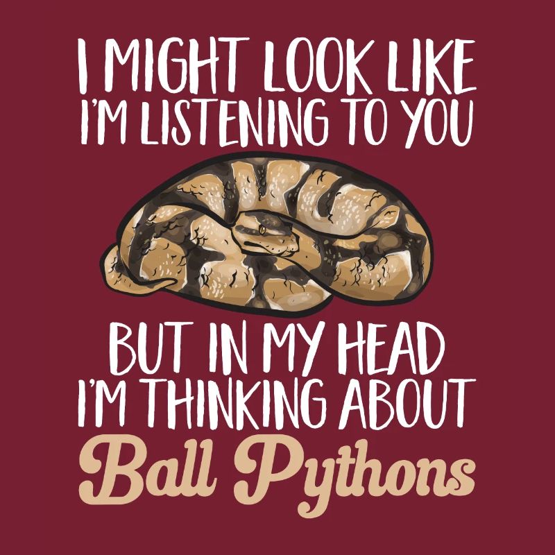 Ball Python Schlange Königspython