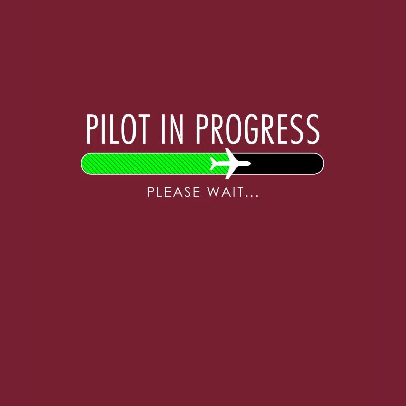 Pilot In Progress Pilot Training Flight School