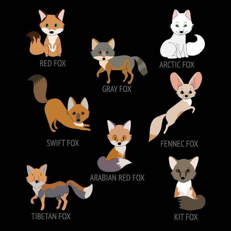 Gray Fox Arctic Fox Kit Fox Indian Indian I